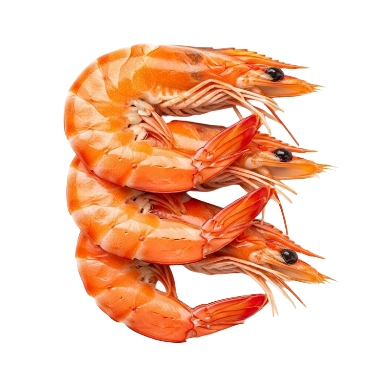 Second image of Wild Atlantic Premium Prawns